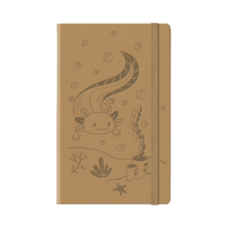 Agenda Tucson Ajolote
